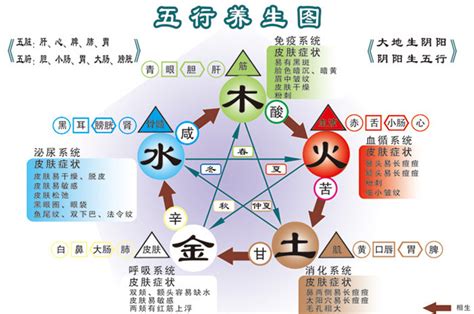 金融行业五行属什么|命理五行对应的行业类别大全（必须收藏）